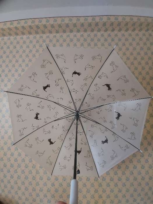 Фотография покупателя товара Детский зонт «Чёрно-белые кошки» 92 × 92 × 75,5 см, МИКС - Фото 1