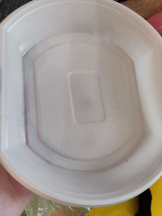 Фотография покупателя товара Тарелка пластиковая одноразовая суповая, 600 мл, цвет белый - Фото 1
