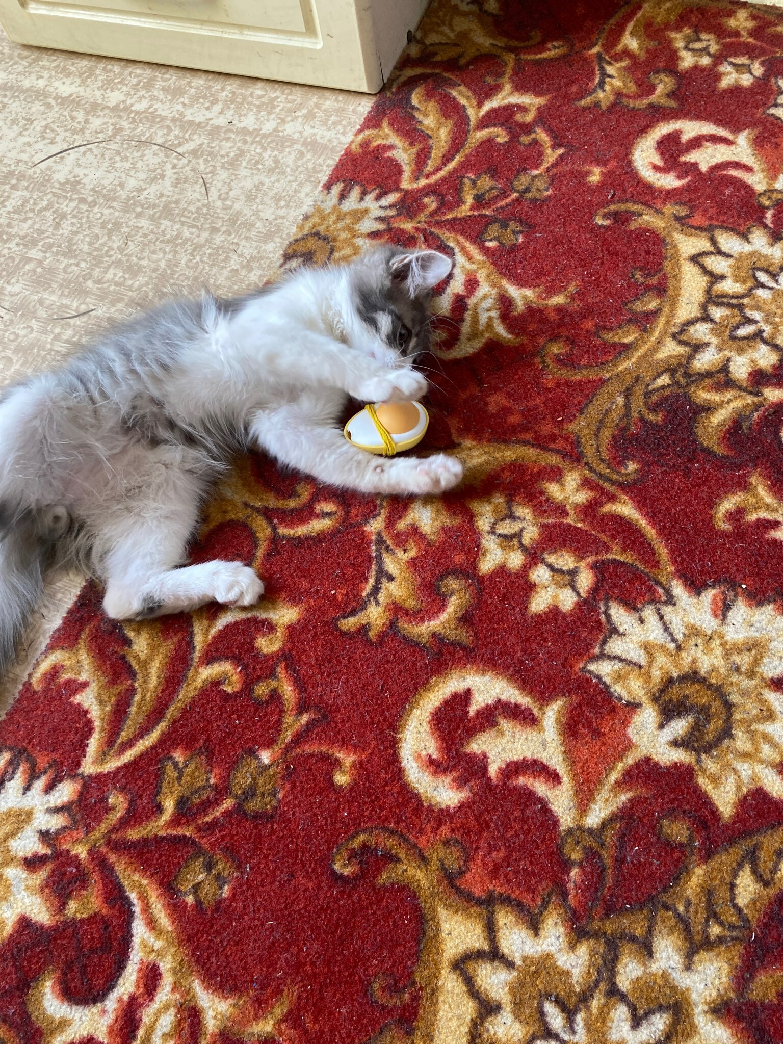 Фотография покупателя товара Игрушка для кошек с кошачьей мятой "Яйцо", 6 см - Фото 2