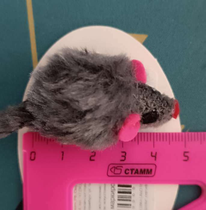 Фотография покупателя товара Игрушка для кошек "Малая мышь меховая", серая, 5 см