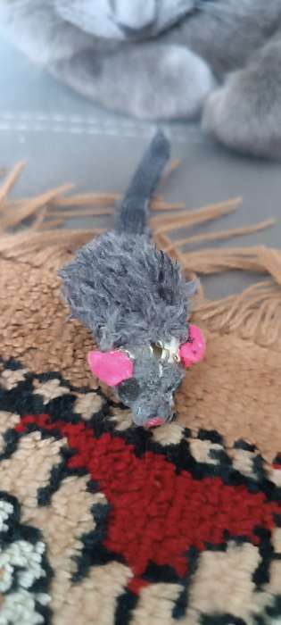 Фотография покупателя товара Игрушка для кошек "Малая мышь меховая", серая, 5 см