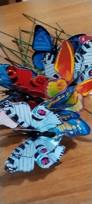 Фотография покупателя товара Штекер «Бабочка Дельфиус», 25 см, набор 6 шт., МИКС - Фото 3