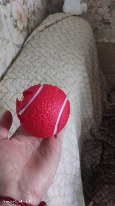 Фотография покупателя товара Игрушка пищащая "Теннисный мяч" для собак, 7,5 см, красная - Фото 3