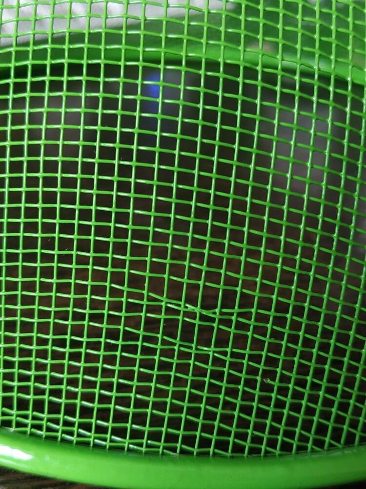 Фотография покупателя товара Крышка-сетка для продуктов Доляна «Вкус», d=24 см, цвет МИКС