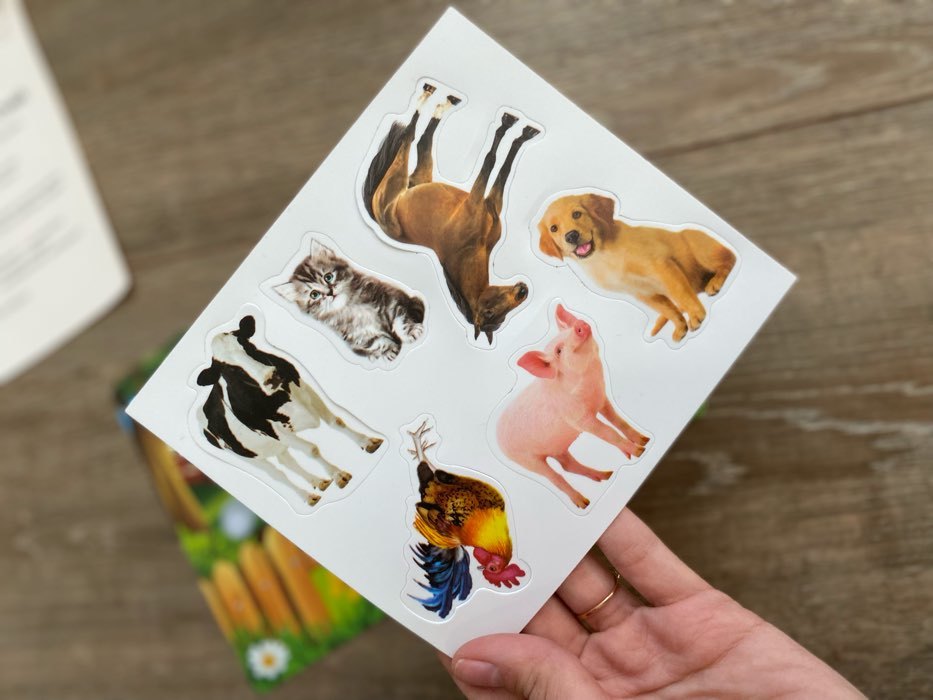 Фотография покупателя товара Игра на липучках «Изучаем мир домашних животных», методика Домана