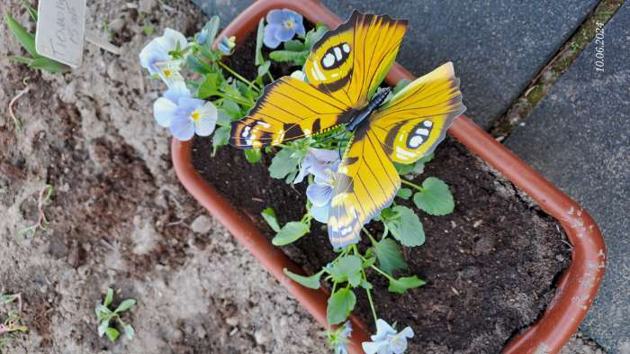 Фотография покупателя товара Штекер садовый «Бабочка верди», 20×14 см, h=45 см, МИКС - Фото 1