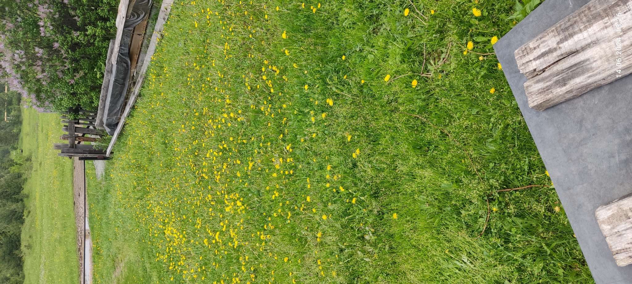 Фотография покупателя товара Средство от сорняков избирательного действия Хакер, 2 г - Фото 1