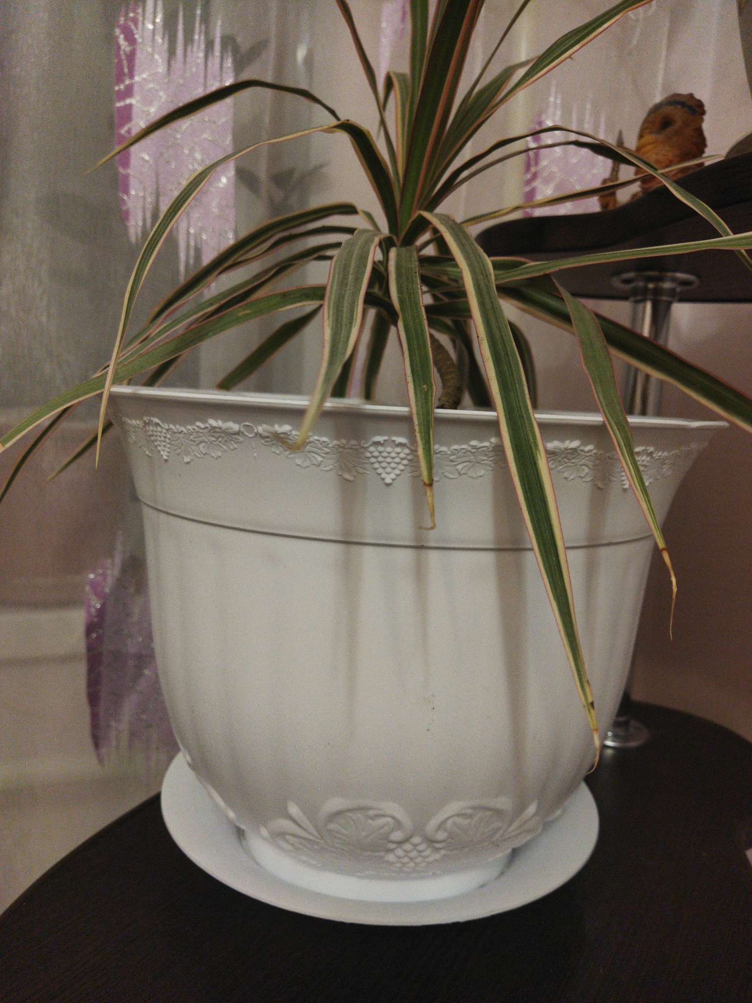 Фотография покупателя товара Горшок для цветов с поддоном СибПолимер «Ангара», 7 л, пластик, белый - Фото 1