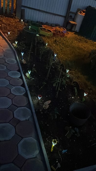 Фотография покупателя товара Садовый светильник на солнечной батарее «Цветок голубой», 6 × 29 × 6 см, 1 LED, свечение белое - Фото 1