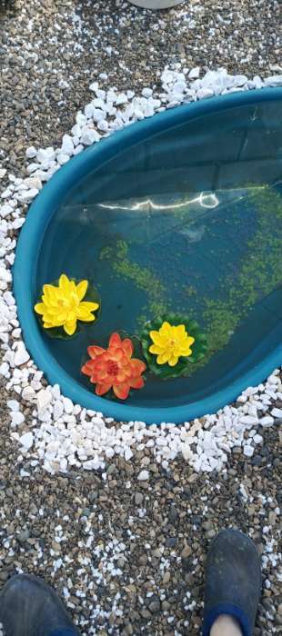 Фотография покупателя товара Декор кувшинка плавающая d-10 см раскрытая - Фото 4