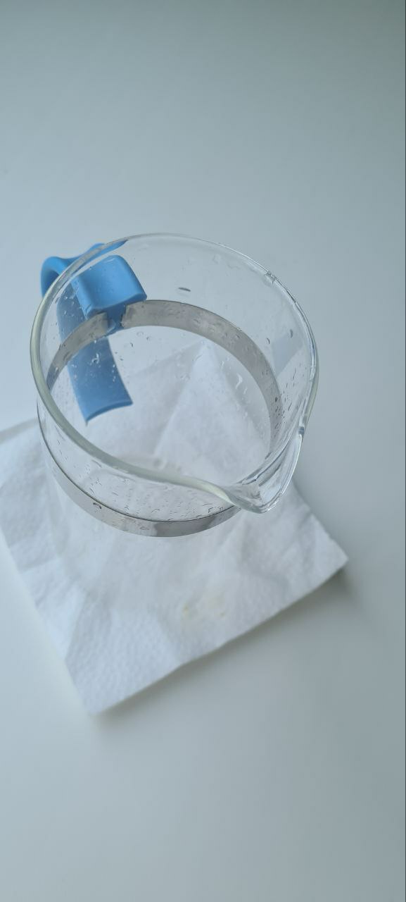 Фотография покупателя товара Чайник заварочный френч - пресс Доляна «Гарсон», 350 мл, стекло, цвет голубой