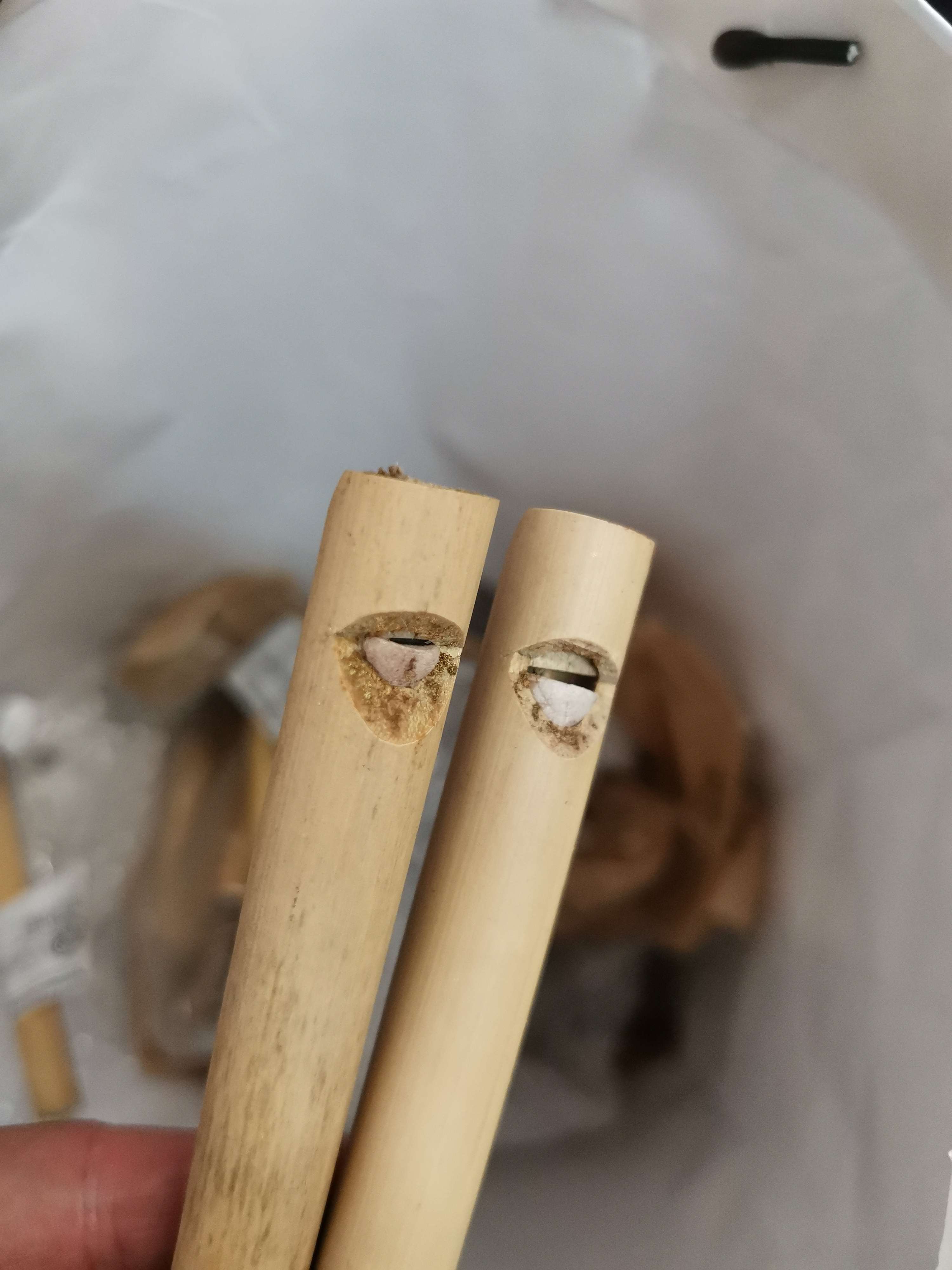 Фотография покупателя товара Музыкальный инструмент Свисток из бамбука 17х1,5х1,5 см - Фото 1
