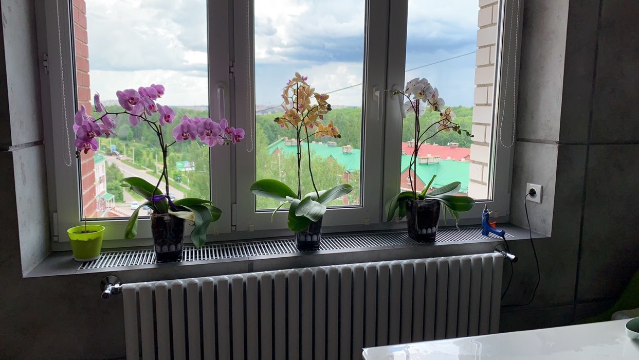 Фотография покупателя товара Кашпо для орхидей «Сильвия», - Фото 2
