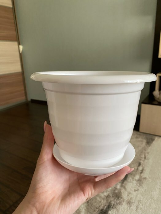 Фотография покупателя товара Горшок для цветов с поддоном Доляна «Арена», 2 л, цвет белый - Фото 2