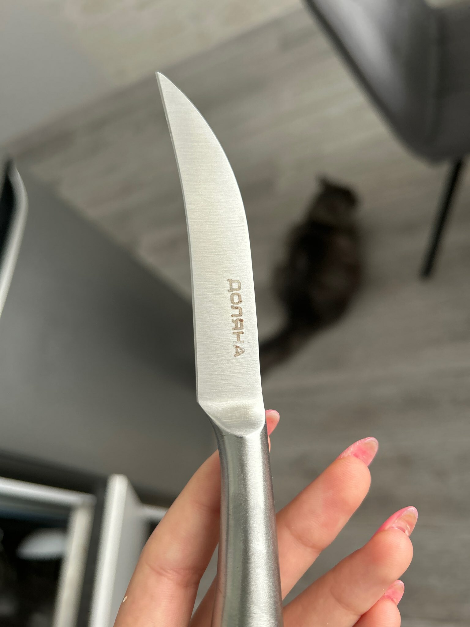 Фотография покупателя товара Набор ножей кухонных на подставке Ardone, 7 предметов: 5 ножей, мусат и ножницы, цвет хромированный - Фото 1
