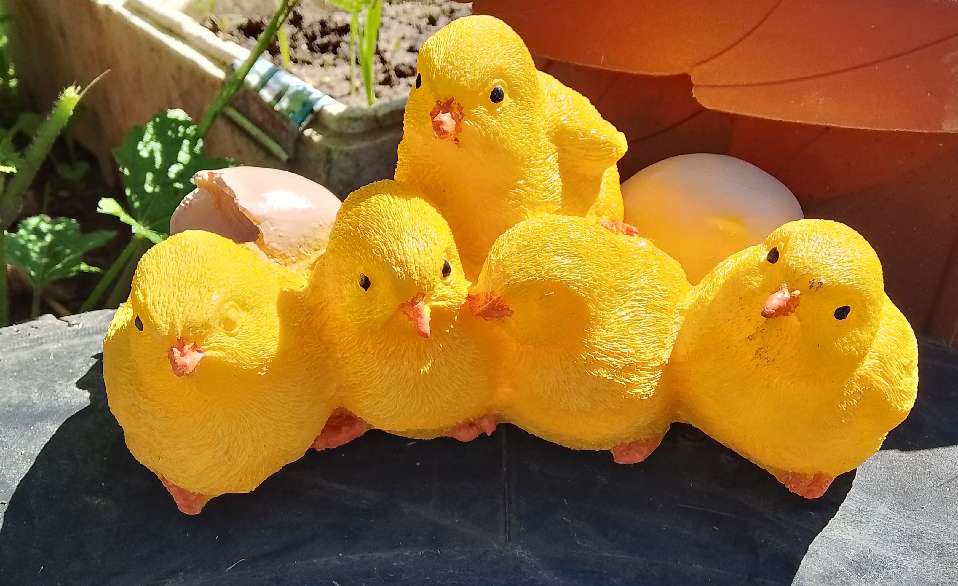 Фотография покупателя товара Садовая фигура "Цыплята" 19х10см - Фото 1