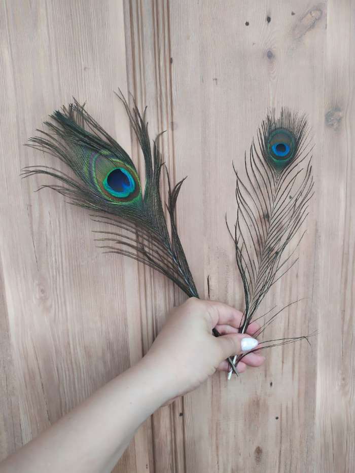Фотография покупателя товара Набор перьев павлина для декора 2 шт.