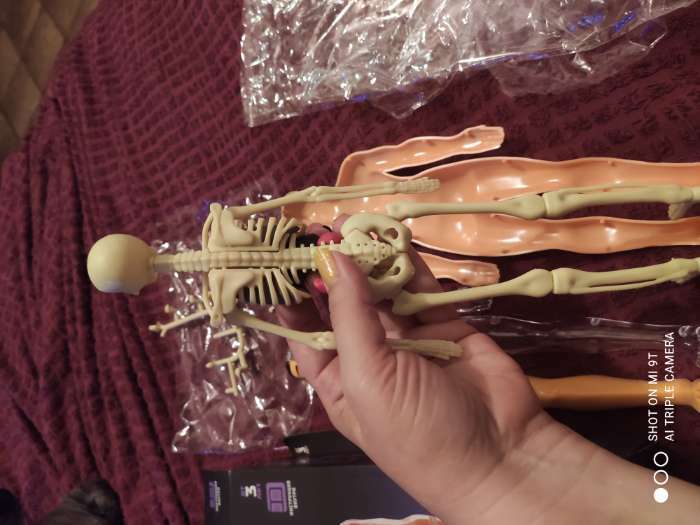 Фотография покупателя товара Набор для опытов «Строение тела», анатомия человека - Фото 58