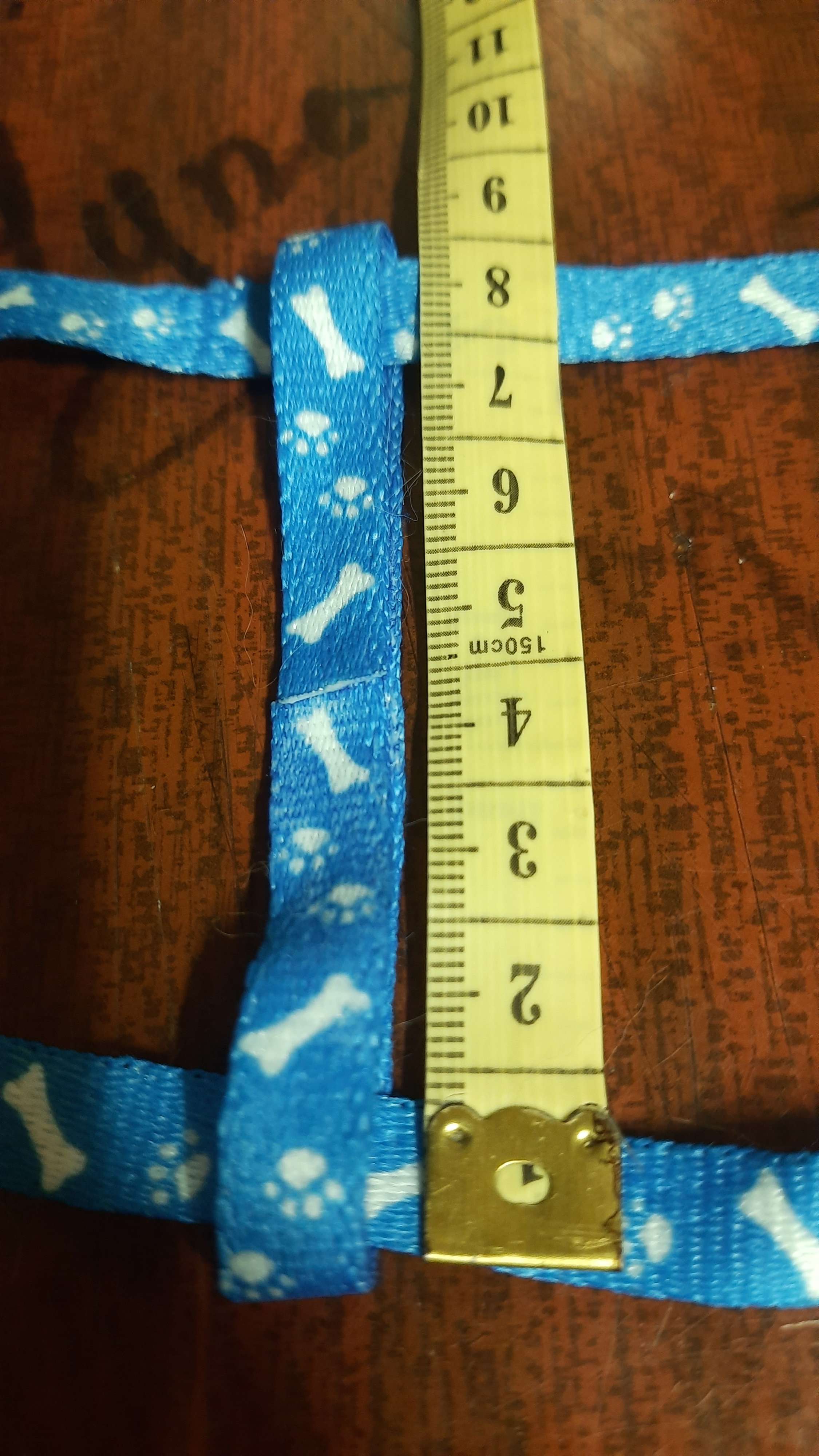 Фотография покупателя товара Комплект "Классика", ширина 1 см,шлейка 21-35 см,поводок 120 см, капрон, микс косточки