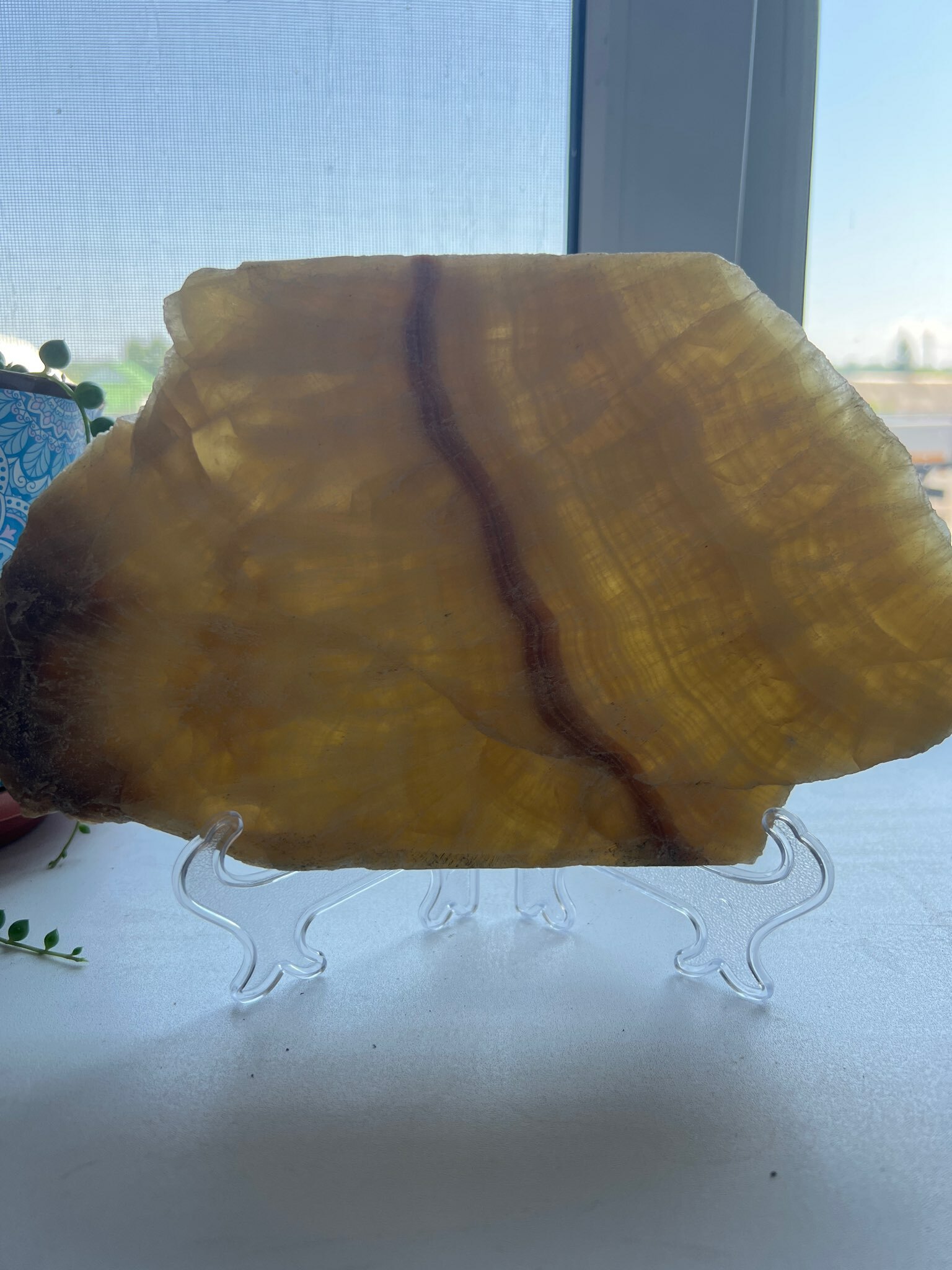 Фотография покупателя товара Подставка для тарелок d=16-18 см Lucia, прозрачная, 15 см - Фото 2