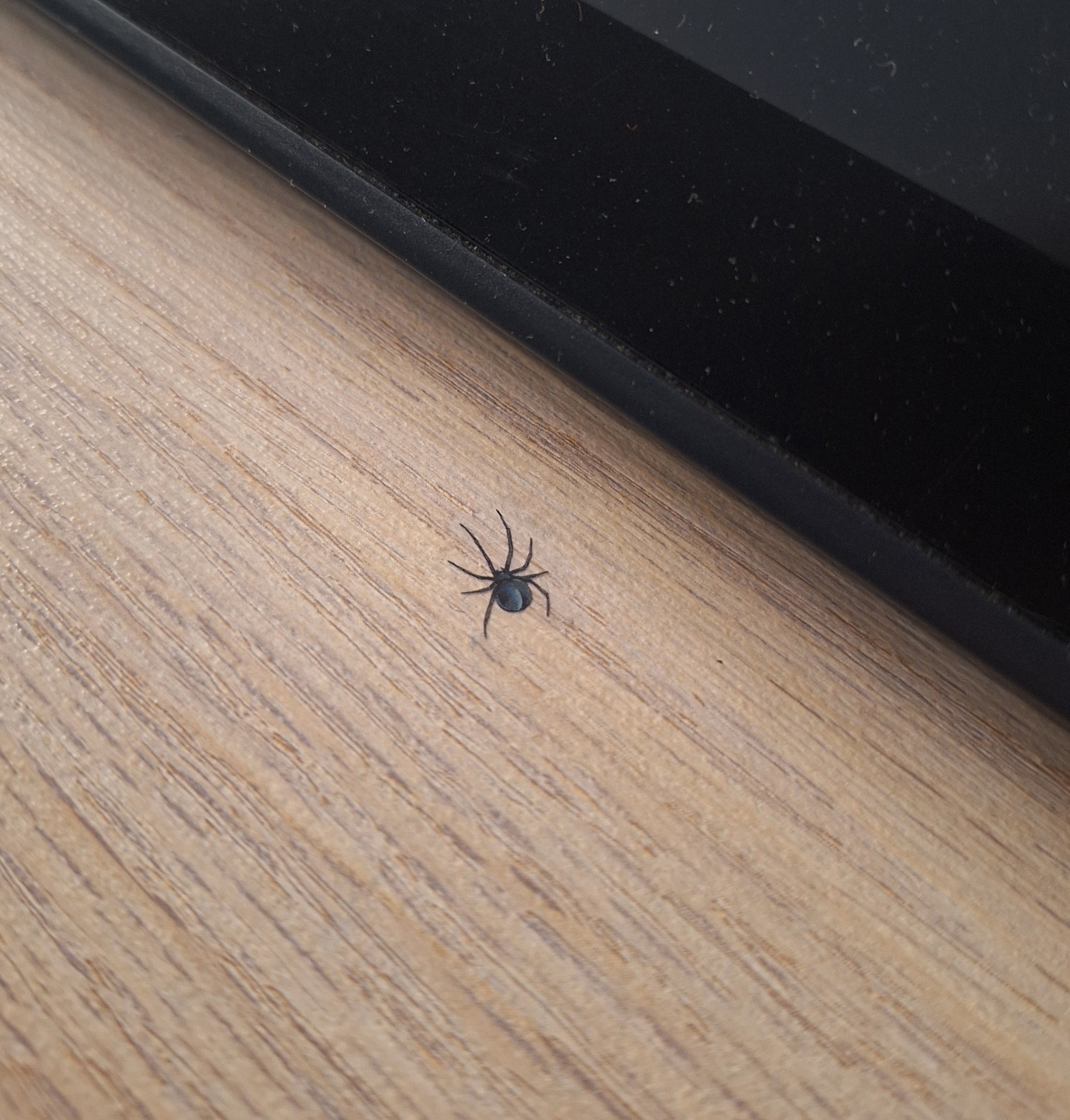 Фотография покупателя товара Альбом наклеек «Скрытые во тьме», Аниме, более 190 стикеров - Фото 1