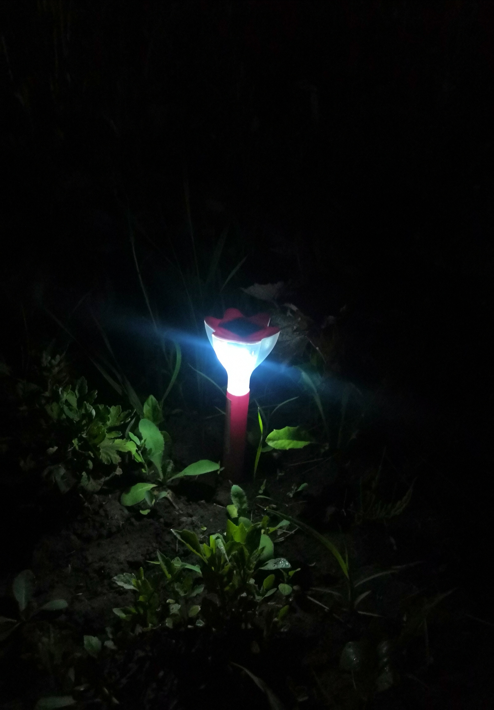 Фотография покупателя товара Садовый светильник на солнечной батарее «Цветок красный», 6 × 29 × 6 см, 1 LED, свечение белое - Фото 1