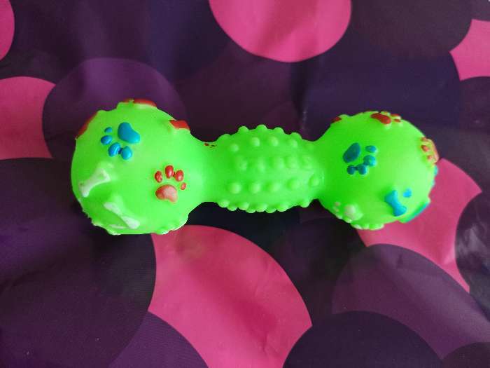 Фотография покупателя товара Игрушка пищащая "Гантель с лапками" для собак, 13 см, микс цветов - Фото 1