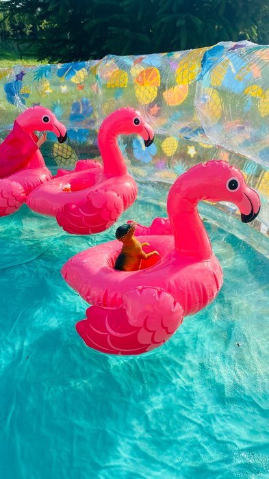 Фотография покупателя товара Набор держателей для напитков плавающий «Фламинго», 20 х 25 см, от 2 лет, 3 шт., 57500NP INTEX - Фото 1