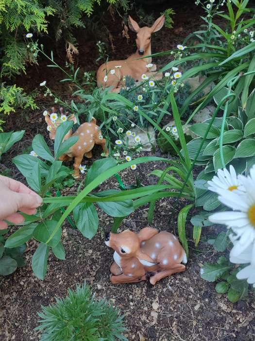 Фотография покупателя товара Садовая фигура "Лежащий оленёнок" из полистоуна Хорошие сувениры, 24 см, средняя, коричневая
