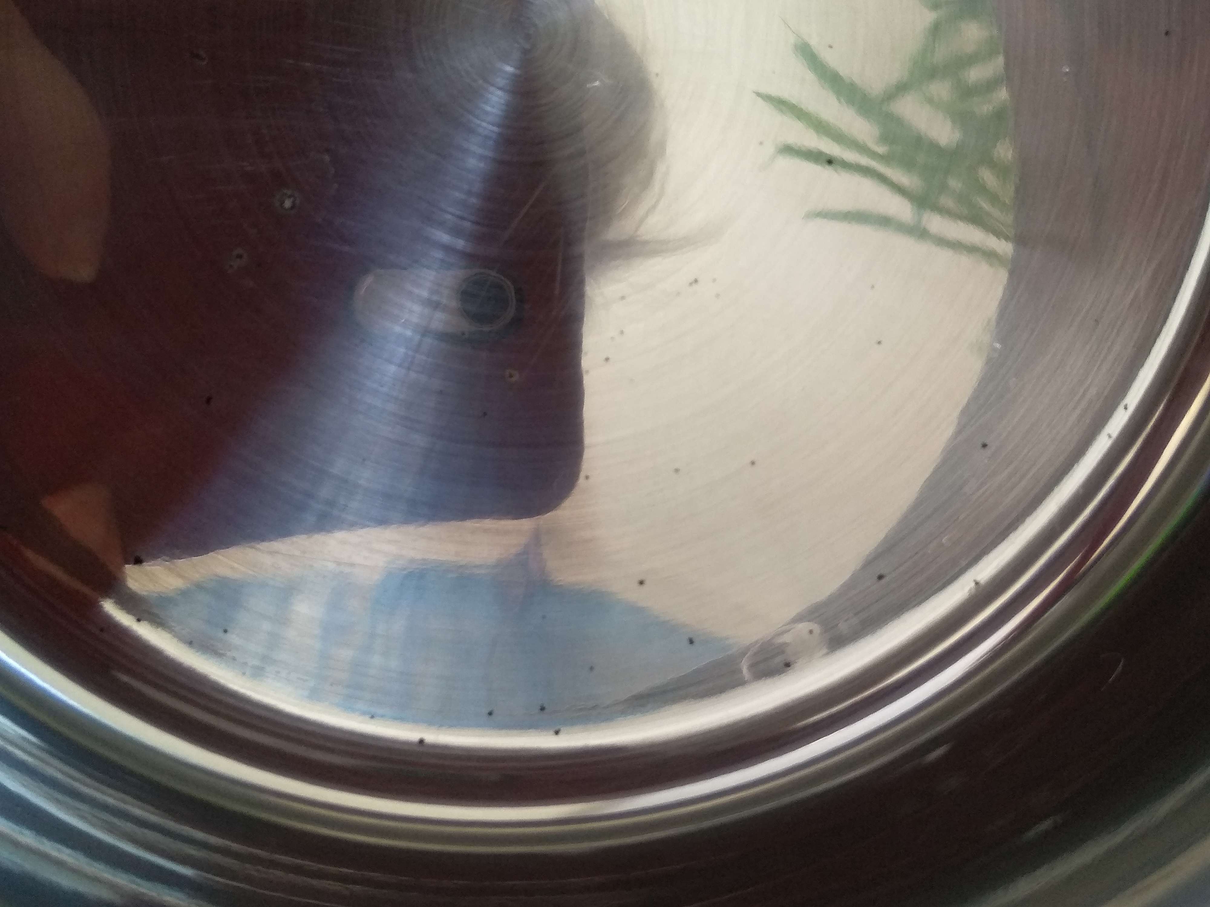 Фотография покупателя товара Кастрюля «Ирида», 2,9 л, d=18 см, капсульное дно, стеклянная крышка, индукция