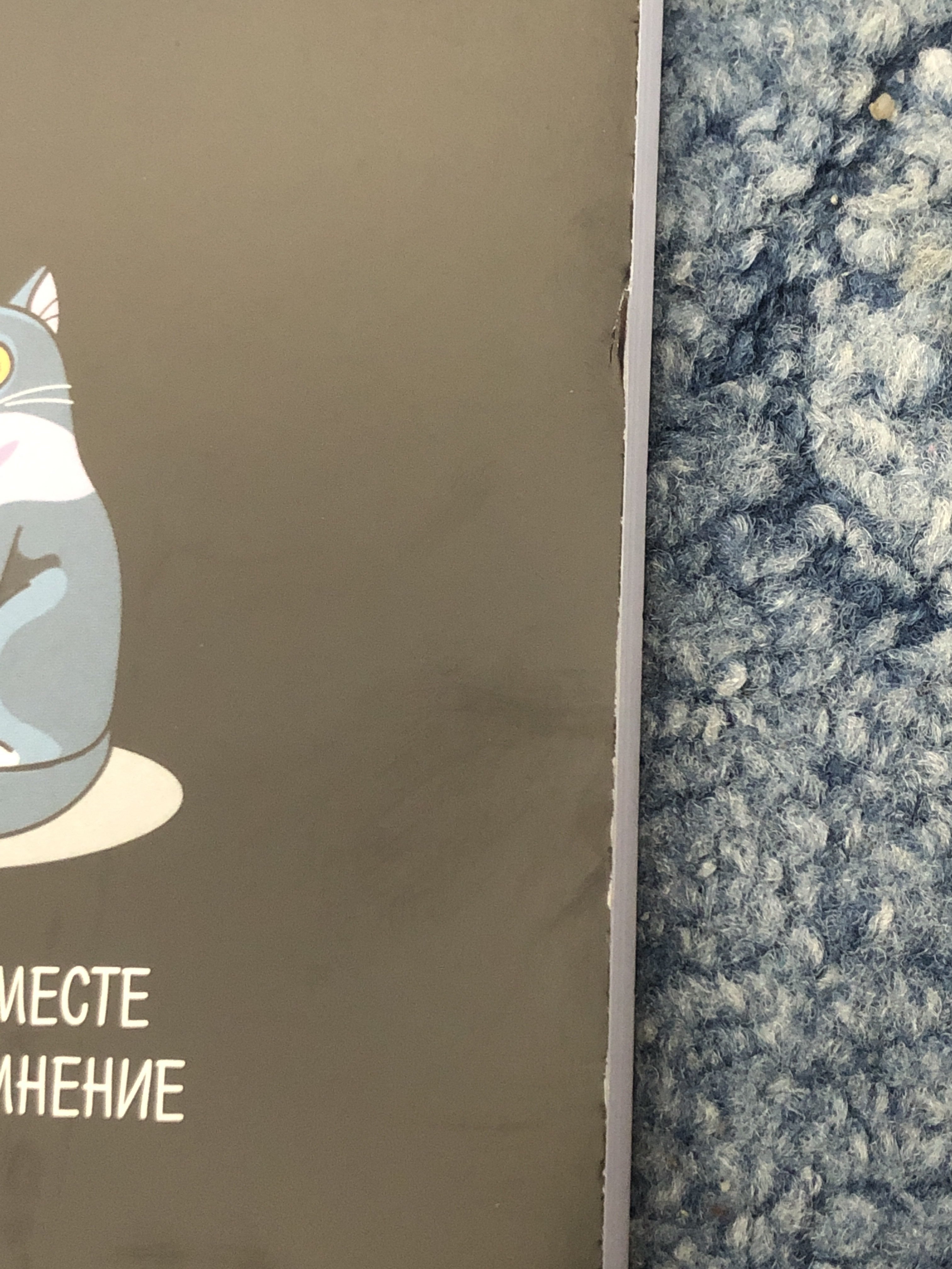 Фотография покупателя товара Ежедневник в мягкой обложке «Котик» А5, 80 листов - Фото 2