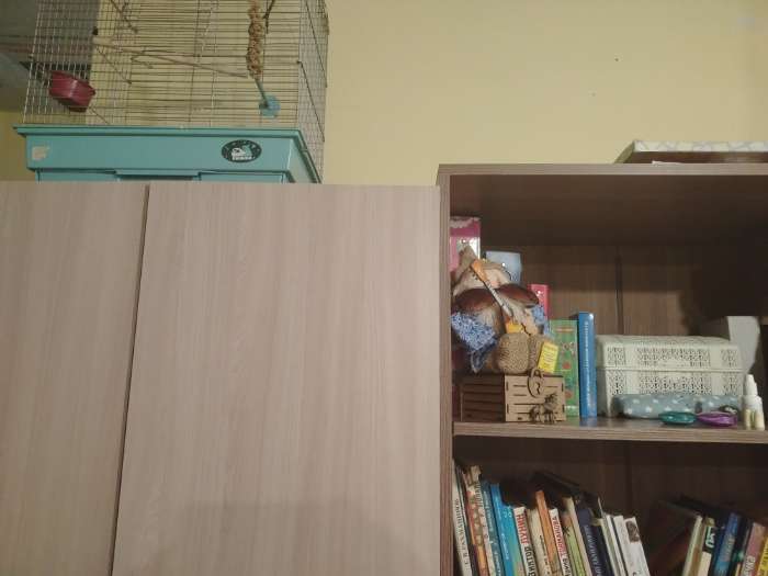 Фотография покупателя товара Шкаф открытый для документов «Клик Мебель. Герда», 800×404×1900 мм, цвет ясень шимо светлый - Фото 49