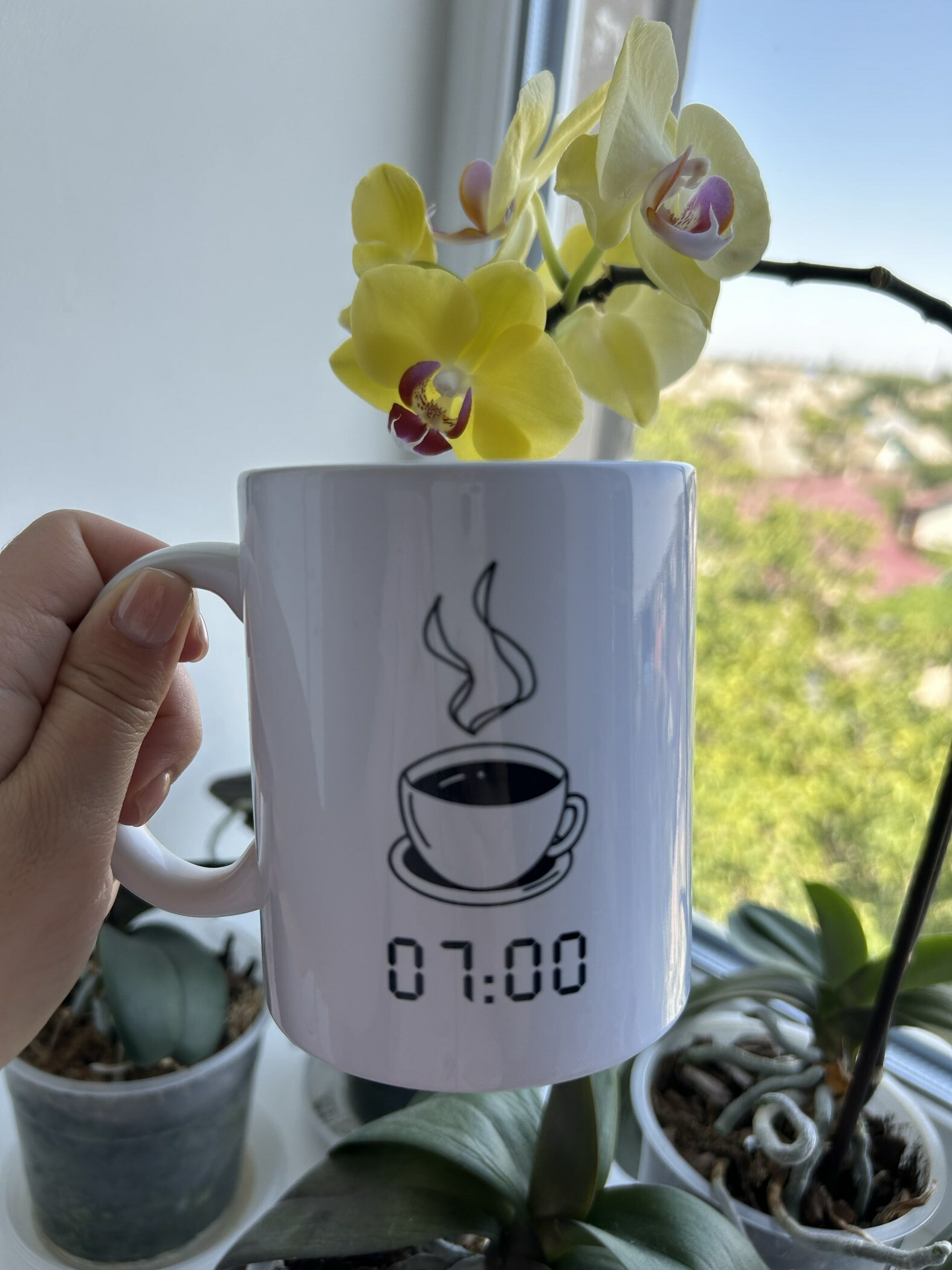 Фотография покупателя товара Кружка керамическая «Кофе», 320 мл, цвет белый - Фото 1