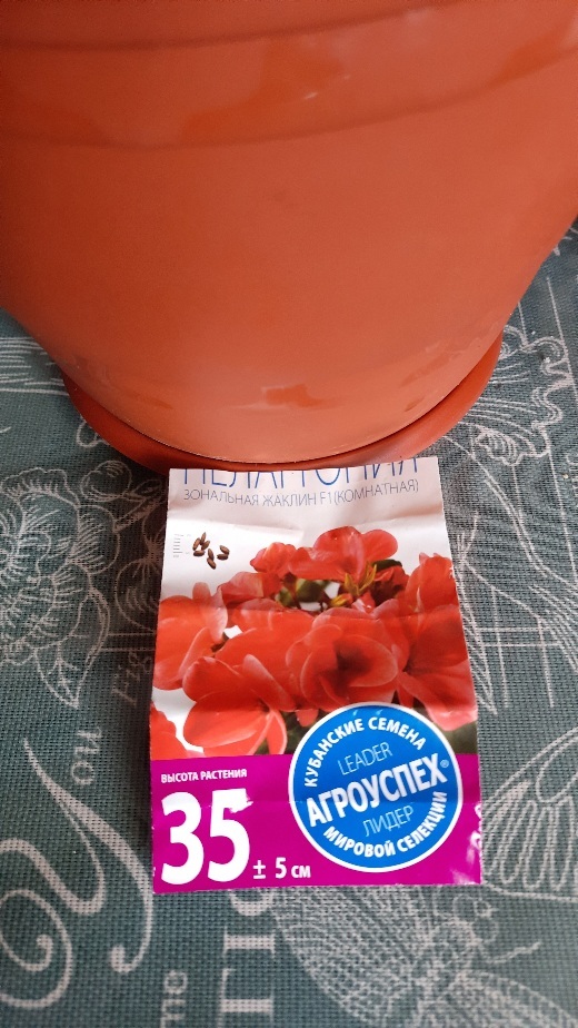 Фотография покупателя товара Семена цветов Пеларгония "Жаклин", красная с коричневым листом, F1, 4 шт - Фото 2