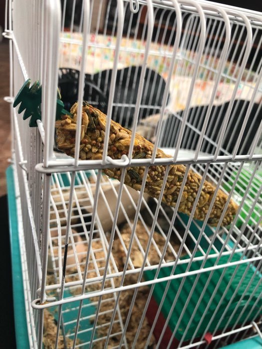 Фотография покупателя товара Зерновые палочки "Пижон" для грызунов, с орехами, 2 шт, 192 г - Фото 12