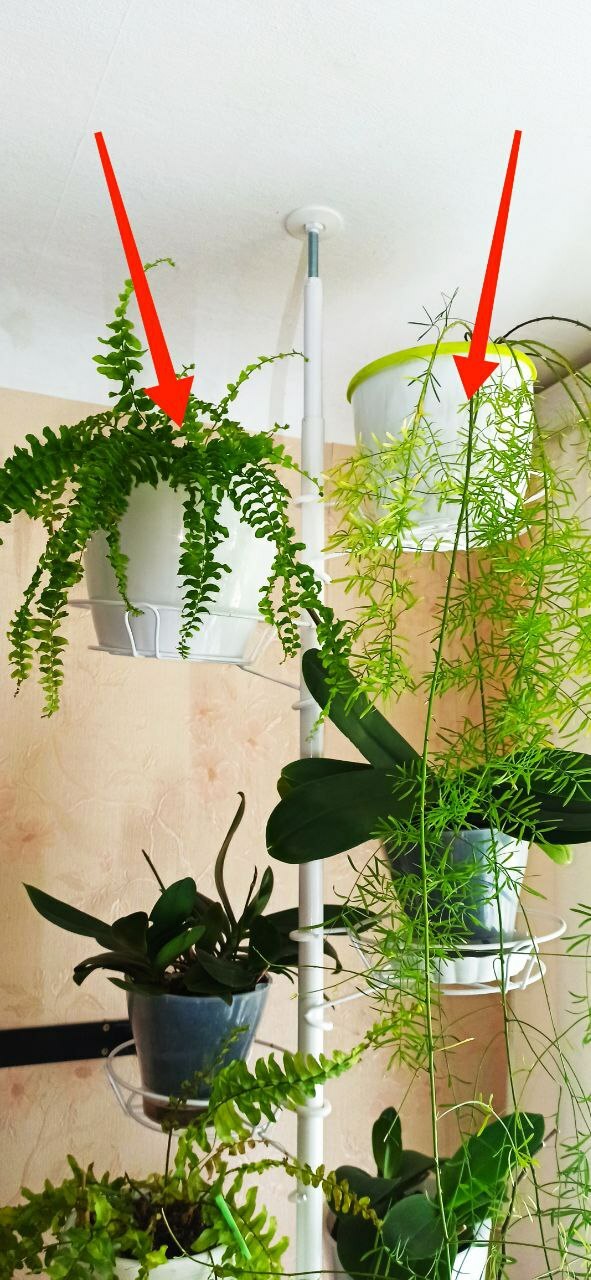 Фотография покупателя товара Кашпо для цветов, d=12.5 см, 1 л, пластик, зелёное, шалфей - Фото 1