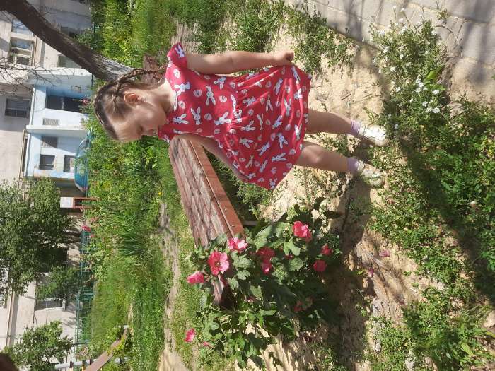 Фотография покупателя товара Платье для девочки "Зайки", цвет красный, рост 110-116 - Фото 1