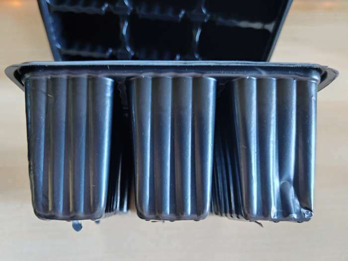 Фотография покупателя товара Кассета для рассады, на 9 ячеек, по 80 мл, пластиковая, чёрная, 18 × 13 × 6 см, Greengo - Фото 2
