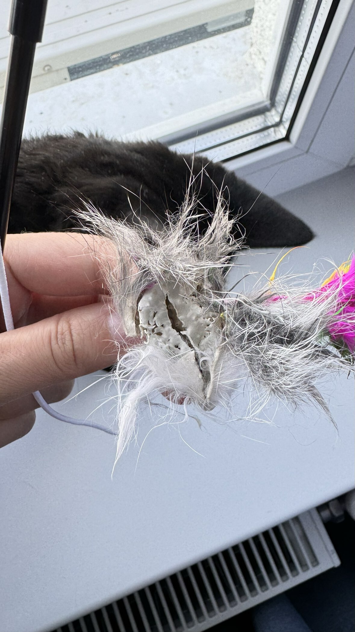 Фотография покупателя товара Дразнилка-удочка с мышью из натурального меха с перьями, микс цветов - Фото 4