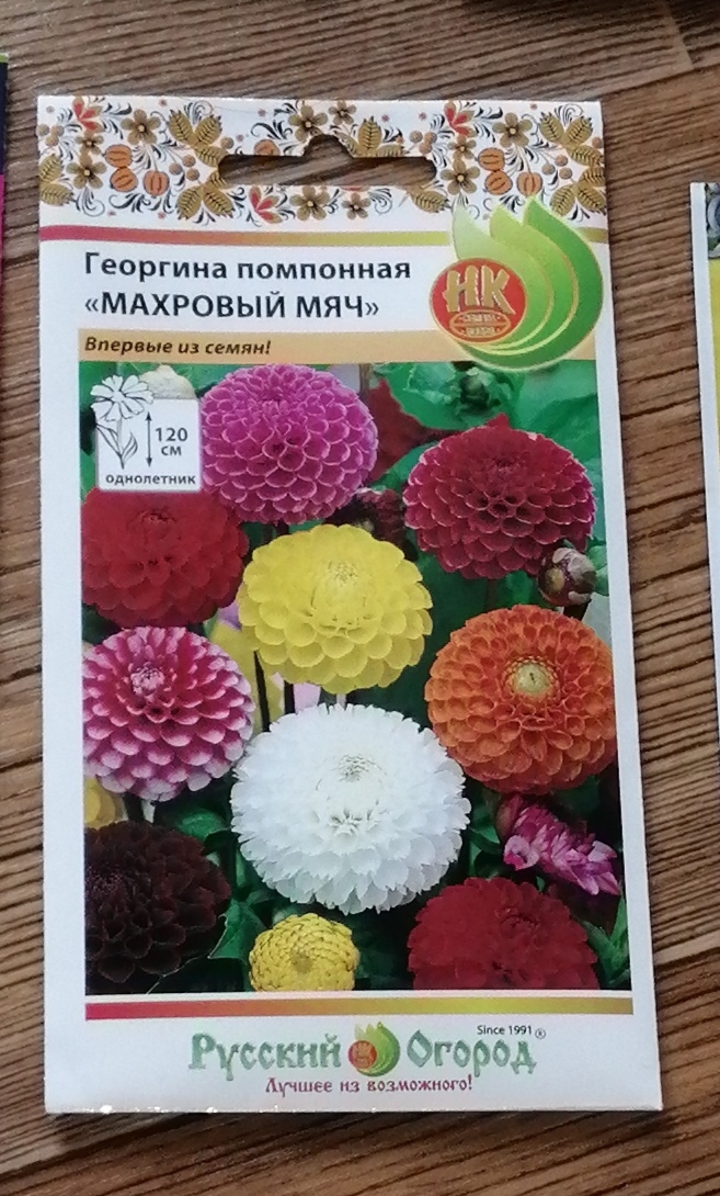 Фотография покупателя товара Семена цветов Георгина "Махровый мяч", помпонная, смесь 0,2 г