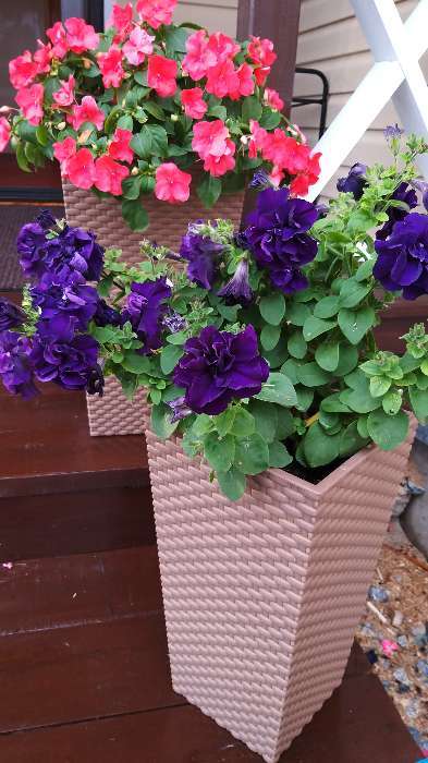 Фотография покупателя товара Кашпо для цветов со вставкой «Ротанг», 21 л (11,2 л), цвет бежевый - Фото 4