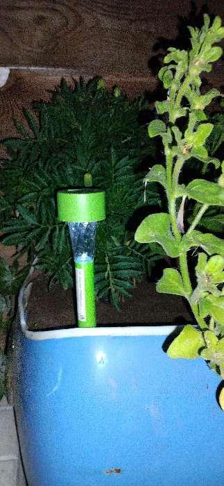 Фотография покупателя товара Садовый светильник на солнечной батарее «Зелёная трапеция», 4.5 × 30 × 4.5 см, 1 LED, свечение белое - Фото 3