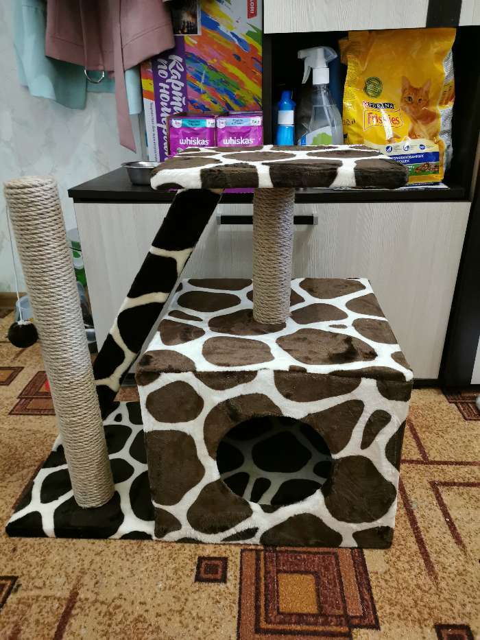 Фотография покупателя товара Домик для кошек с когтеточкой "Домосед", с лестницей и площадкой, 60 х 35 х 56 см, микс - Фото 4