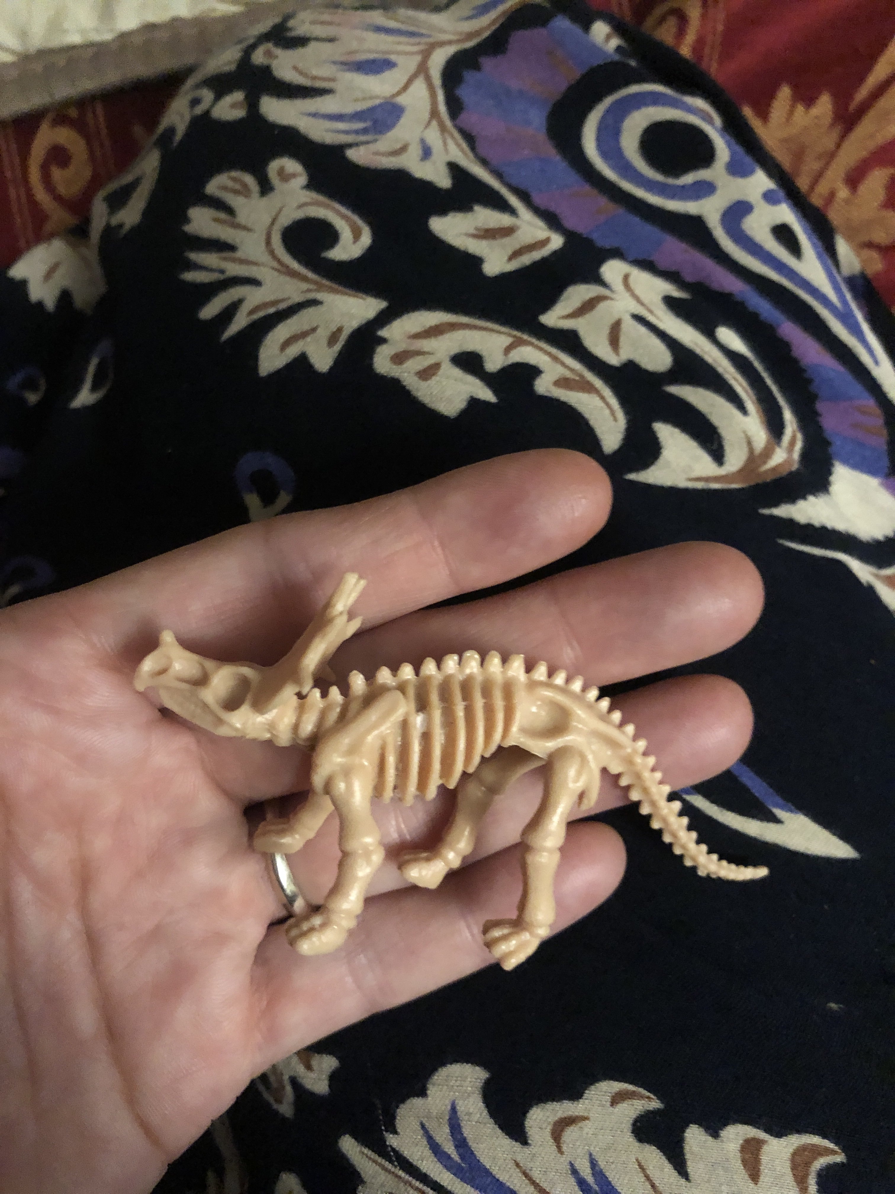 Фотография покупателя товара Набор археолога серия с фигуркой-игрушкой динозавра «Трицератопс» - Фото 1