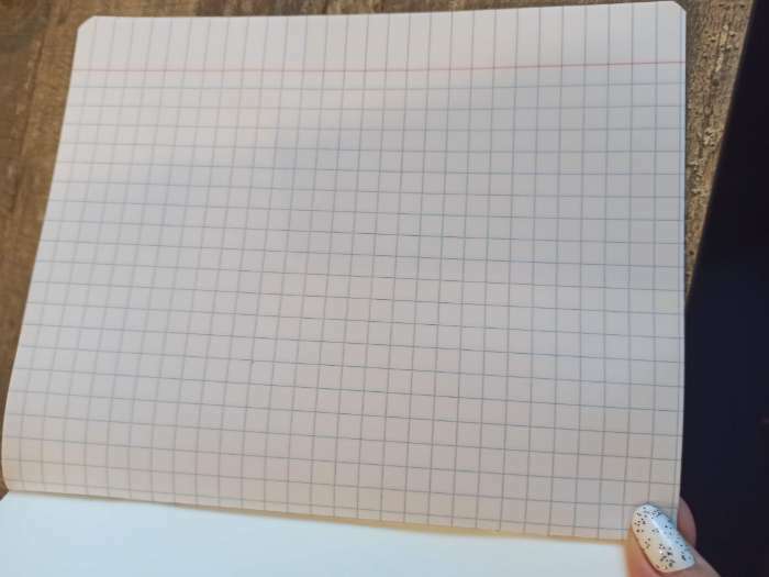 Фотография покупателя товара Тетрадь 12 листов в крупную клетку Calligrata «Школьная. Зелёная», обложка мелованный картон, ВД-лак, блок офсет, белизна 95% - Фото 2