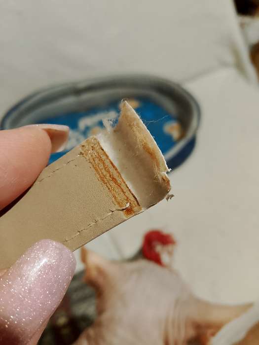 Фотография покупателя товара Ремешок для часов «Соломон», 20 мм, экокожа, длина 19 см, белый с тиснением - Фото 8