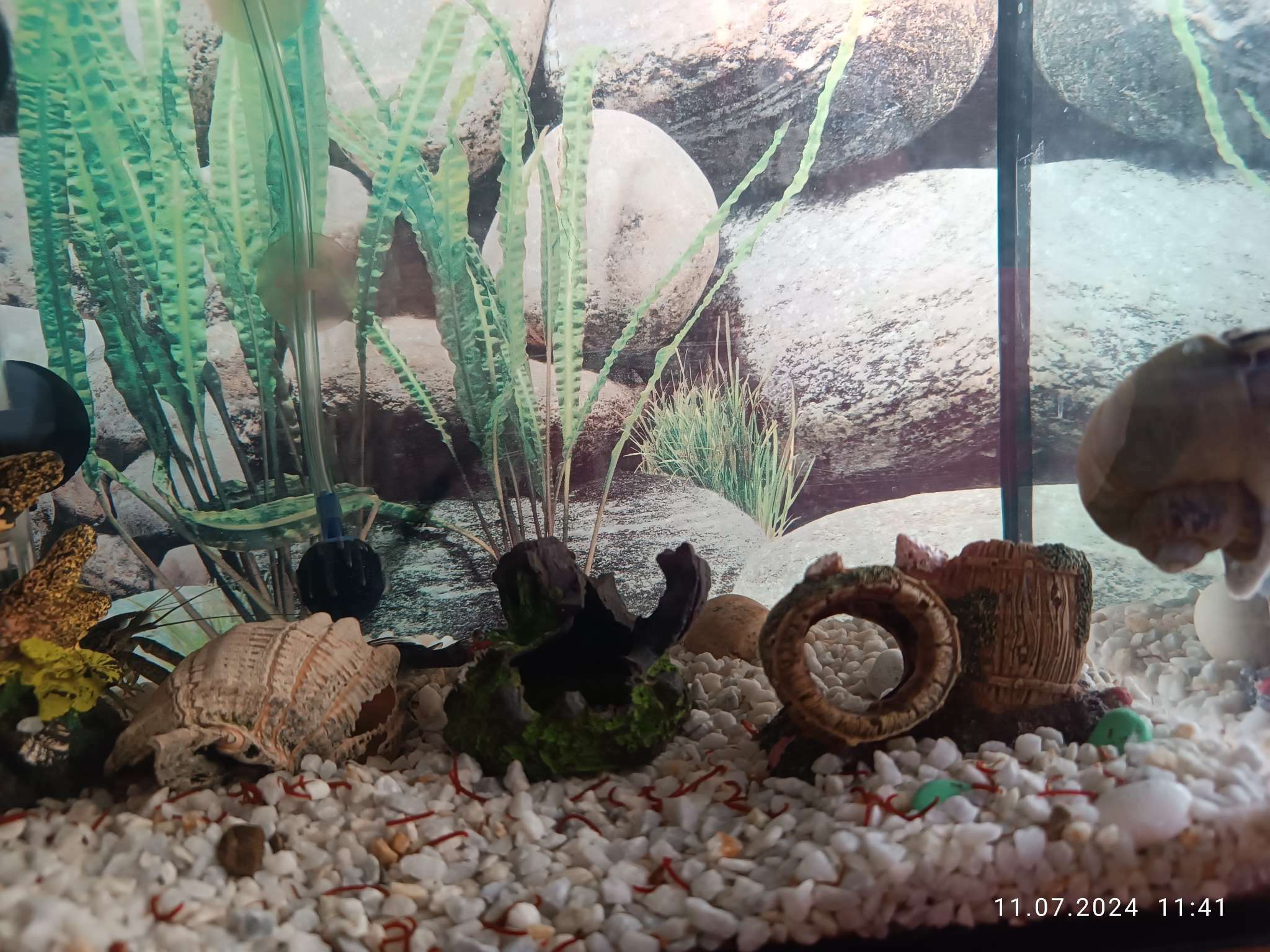 Фотография покупателя товара Декор для аквариума "Бочки", 7,5 х 5,5 х 5 см