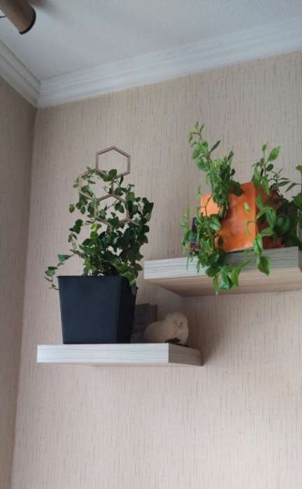 Фотография покупателя товара Шпалера, 40×15 см, дерево, «Соты», Greengo - Фото 1