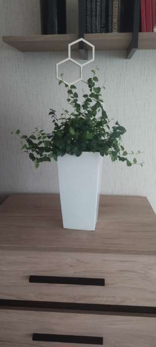 Фотография покупателя товара Шпалера, 40×15 см, дерево, «Соты», Greengo - Фото 2