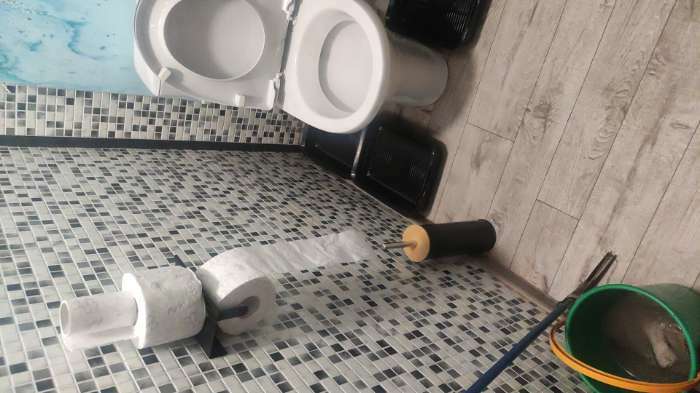 Фотография покупателя товара Туалет для кошек, 35.5×26×7 см, с сеткой, пластик, фиолетовый, розовая - Фото 1